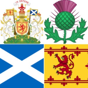 Archivo 31-1-18 11 49 38